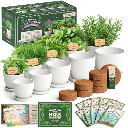 Indoor Herb Garden Starter Kit with 10 USDA Organic Seeds and Pots