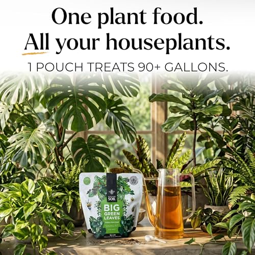 Big Green Leaves Indoor Plant Food – 4X Concentrated Fertilizer, 1 lb - view 5