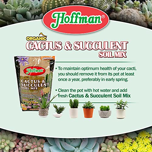 10404 Organic Cactus and Succulent Soil Mix, 4 Quarts, Brown/A - view 5