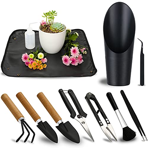 11Pcs Succulent Tools, Mini Garden Tools, Plant Repotting Set(No Flowerpot)