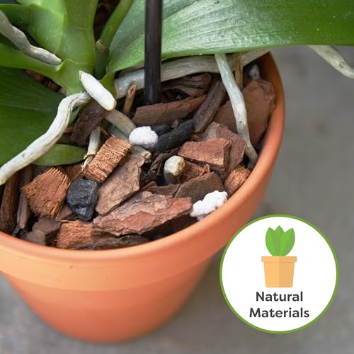 Orchid Potting Mix, 4 qt, Bark Blend for Phalaenopsis - view 3