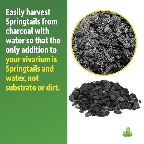 Charcoal (4 qt) - view 4