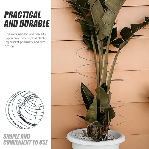 2pcs Spiral Plant Support Stakes Trellis Stainless Steel - view 3