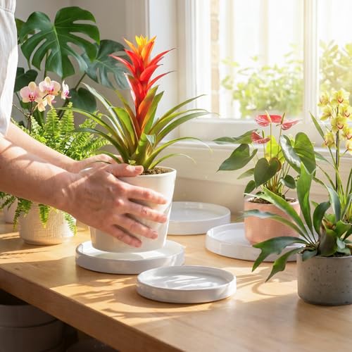 Ceramic Plant Saucer 6.5 Inch 2 Pack White, Fits Pot Base Under 6 Inch - view 2