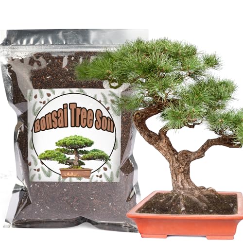Bonsai Soil Mix 1qt Ready to Use, Organic Bonsai Tree Soil Fits for Small Bonsai Pot, Suitable for Bonsai Seedling, Repotting, or Bonsai Starter Kit