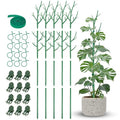 50" Plant Support Stakes 5-Pack for Indoor & Outdoor Climbing Plants