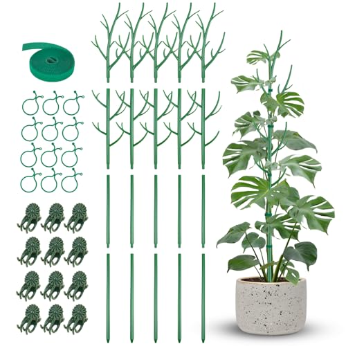 50" Plant Support Stakes 5-Pack for Indoor & Outdoor Climbing Plants