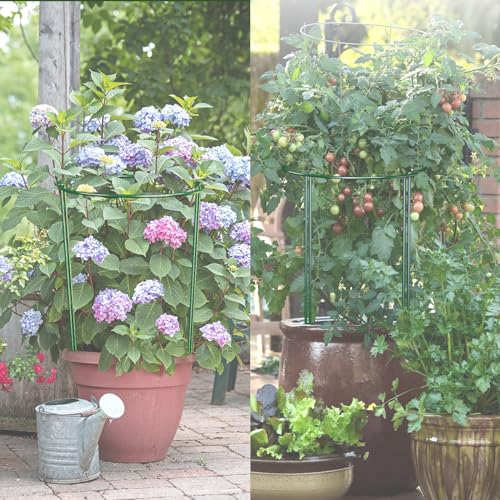 6 Pack 30 inch Plant Support Stakes, Heavy-Duty Half Round Peony Support, Garden Plant Stakes Cage for Outdoor Plants, Peony, Tomato, Hydrangea, (15In Support +15In Stainless Extension Tubes) - view 6