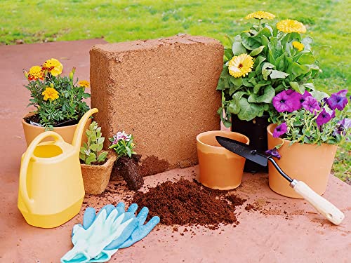 Organic Coco Coir Brick 10 lb Coconut Fiber Indoor Plant Soil - view 2