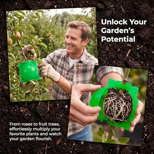 10 PCS Plant Root Growing Box, Reusable Air Layering Propagation Kit Plant Rooting Ball Rooting Ball Grafting Tools, Plant Rooting Grafting Box for Fast Propagation Plants Green Medium - view 5