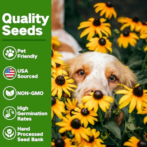 Lush&Dew Pet-Friendly Heirloom Seed Bank, Gardening Gifts for Women Men - view 4