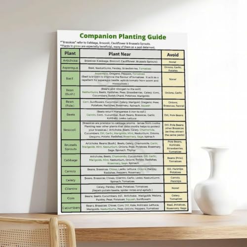 Companion Planting Guide Poster Plantings Types (6) - view 7