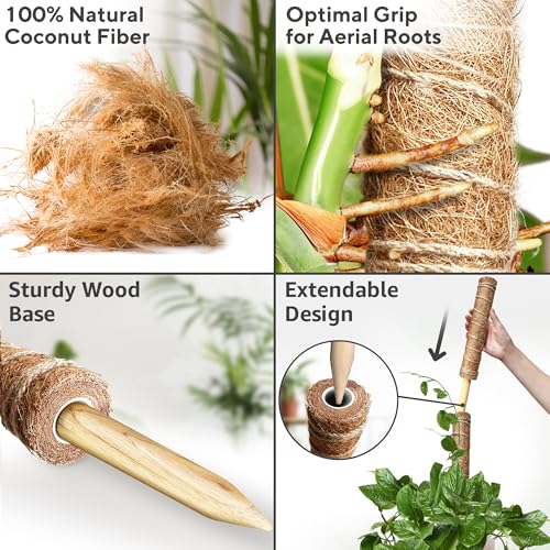 Premium Moss Pole for Plants 4-Pack - 48 Inch Sturdy Plant Support Stakes - 16.5" Extendable Poles for Monstera & Climbing Plants - 100% Natural Sticks - Complete Kit w/Ties, Hook & Loop Tape & Rope - view 4