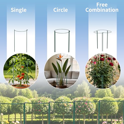 Plant Support Stakes for Large Heavy Plants,10PCS Peony Supports 14"x32" Heavy Duty 5mm Wire Peony Cages,Interlock Garden Supports Ring Border Support,Plant Support Cage for Rose Flowers - view 4