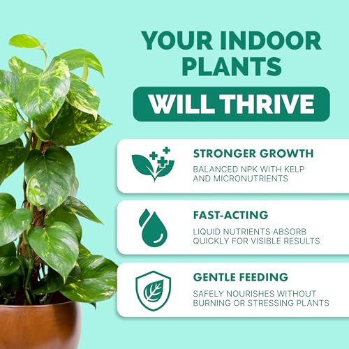Indoor Plant Food, Complete Liquid Fertilizer for Houseplants, 32oz - view 2