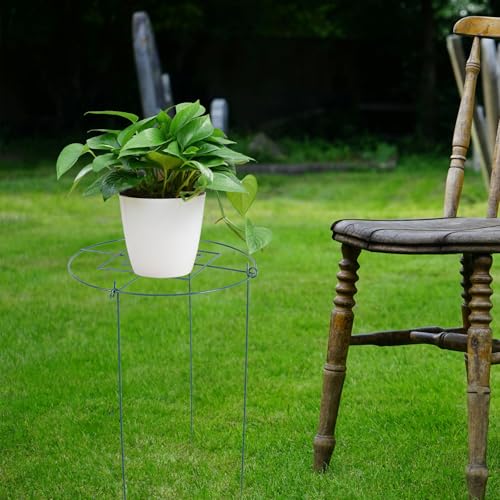 Metal Plant Trellis Support Rack Green Garden Frame for Climbing Vines - view 6