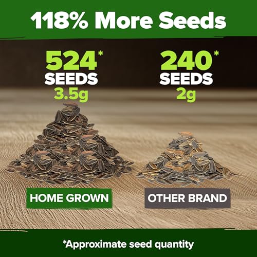 Luffa & Zinnia Dahlia Seed Pack – 564+ Heirloom 𝗡𝗢𝗡-𝗚𝗠𝗢 USA Seeds | Grow Loofah Sponges & Colorful Pollinator Flowers | Easy Garden Kit for DIY & Outdoor Planting - view 7