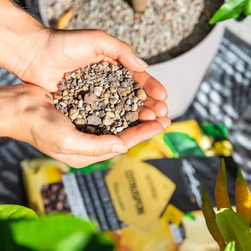 CITRUSPON Citrus Potting Soil, 2.7 US Dry gal - view 3
