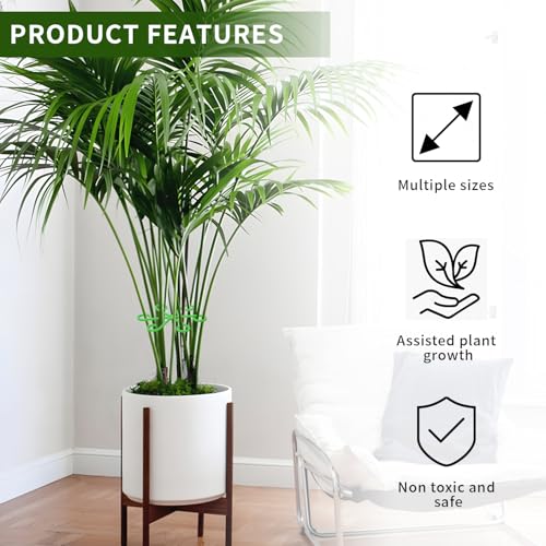 4 Pcs Plant Stem Supports for Indoor Plants, Assorted Sizes Plastic Plant Stabilizer Growth Accessories Plant Stakes Holders for Monstera Potted Climbing Plant (4, Green) - view 4