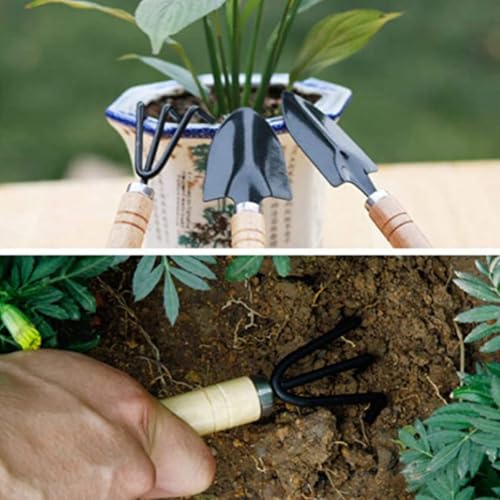 Wooden Succulent Planting Tool Set 10pcs for Indoor Seedlings - view 4