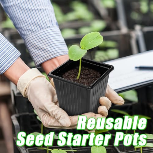 100Pcs Square Plant Nursery Pots,3.5 Inch Plastic Pots with Drainage Holes,Reusable Seed Starter Pots for Flowers,Vegetables,Garden Planting,Transplanting,Succulents,Cuttings(Black) - view 6
