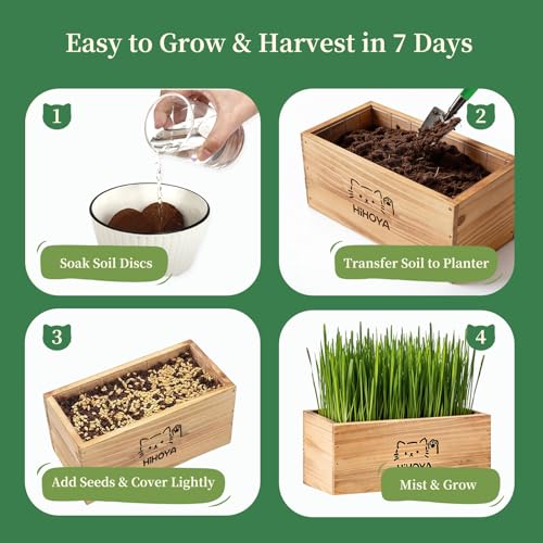 Cat Grass Kit for Indoor Cats - 5 Packets of Seeds, Cat Grass Planter Wooden Growing Kit, 5-Time Plant Starter Pack with 6 Soil Discs, Trimming Scissors, Spray Bottle, and Mini Tools - view 3