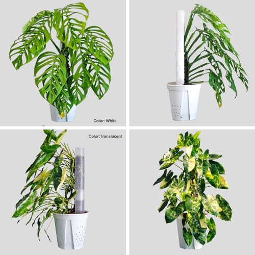 2 Pcs 17 Inch Plastic Moss Pole for Plants Monstera,Designed Specifically for Climbing Plants, Stackable Plant Support for Indoor Plants - view 3