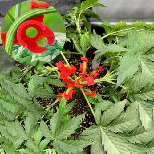 40 Pcs Low Stress Training Clips, 90 Degrees Plant Trainer Bud Plant Bender Plant Training Clips Bud Bender for Plant Gardening - White and Red - view 4