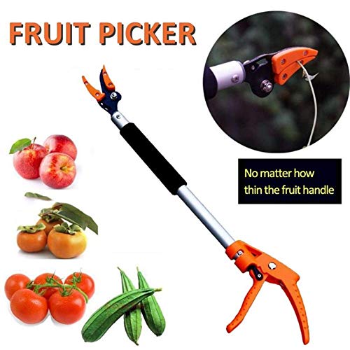 Pruning Shears, Garden Loppers Long Handle 0.6-1M Extra Long Telescopic Fruit Picker Tree Cutter Garden Supplies Quality Gardening Tool (0.8m) (0.8m) - view 4