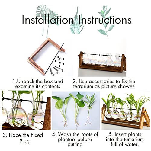 Plant Terrarium with Wooden Stand Desk Plant 5 Bulb Vase - view 5