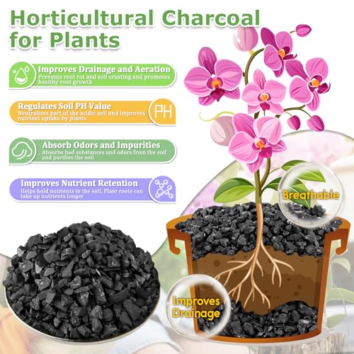 2 QT Horticultural Charcoal- Natural Biochar Soil Amendment - view 3