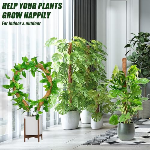 Moss Pole 31.5 Inch, 6 Pack Bendable Moss Pole for Plants Monstera, Moss Poles for Climbing Plants Indoor, Coconut Fiber Plant Poles Support Sticks for Potted Plants (31.5inch × 6pcs) - view 7