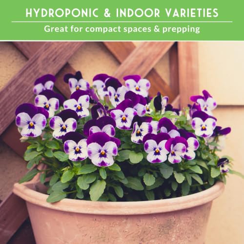 Hydroponic & Indoor Garden Seed Kit - view 4