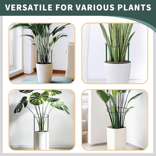 Plant Support Stakes for Large Heavy Plants,10PCS Peony Supports 14"x32" Heavy Duty 5mm Wire Peony Cages,Interlock Garden Supports Ring Border Support,Plant Support Cage for Rose Flowers - view 7