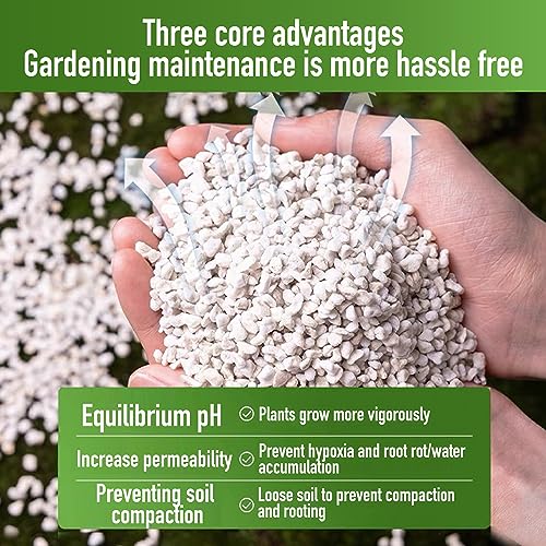 2QT Perlite for Plants Organic Perlite Horticultural Soil Amendment for Indoor & Outdoor Container Plants and Enhanced Drainage Enhanced Growth, Promote Root Growth and Soil Health - view 6