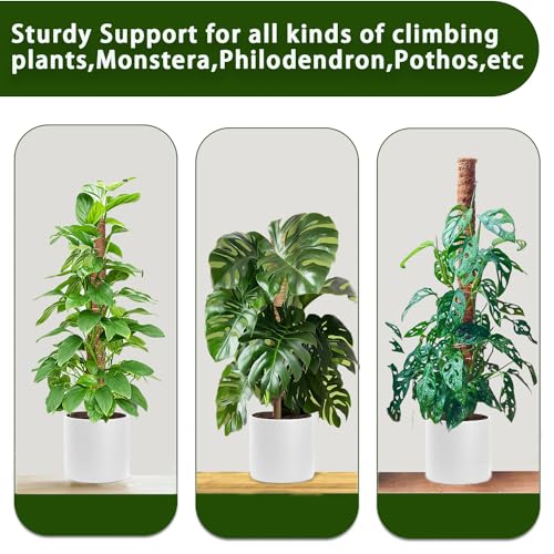 Moss Pole, 2 Pack 17 Inch Monstera Plant Support for Climbing Plants Accessories Indoor, Stackable Moss Poles Plant Support Stakes, Coir Plant Pole Sticks for Potted Plants, Pothos, Philodendron - view 6