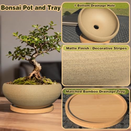 8 inch Round Unglazed Ceramic Bonsai Pot with Bamboo Tray, Shallow Plain Pottery Succulent Planter with Drainage Hole (8”) - view 3