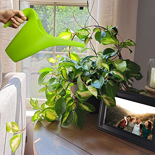 10 Pcs Circle Indoor Plant Trellis for Potted Plants - view 4