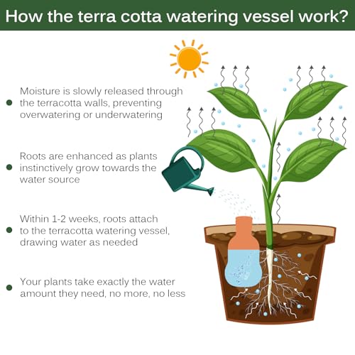 Terracotta Ollas Watering Pots, 2 PCS Slow Release Plant Watering Globes Terracotta Self Watering Planter Insert, Holds 15 Oz Water Automatic Watering System for Potted Plants While On Vacation - view 3