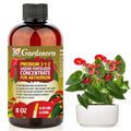 Premium Liquid ANTHURIUM Fertilizer - 3-1-2 Concentrate for Indoor Plants and Flowers - Organic Plant Food - 8oz