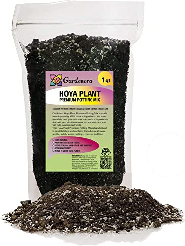 Premium Potting Mix for Hoya Plants - Promote Strong Root Systems and Optimum Nutrient Uptake - 1 Quart