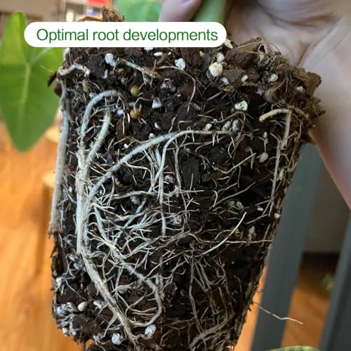 Perlite for Plants 4 Quarts, Horticultural Perlite Soil for Plants Potting Mix, Amendment for Plants Indoor&Outdoor, Enhanced Water Drainage and Ventilation, Promote Root Growth (3-6mm) - view 6