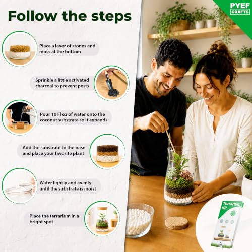 Terrarium Kit for Plants DIY - view 4