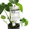 Plant Life Support - Automatic Watering System for Houseplants - Fun Garden Gifts - Home Accessories - Indoor Waterer