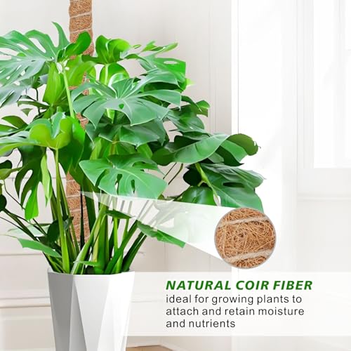 2 Pack Moss Pole Monstera Plant Support with Repotting Mat, 28 Inch Plant Support Stakes, Plant Sticks Support Tall for Indoor Potted Climbing Plants, Pothos, Philodendron - view 7
