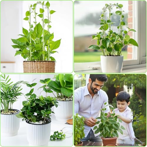 3PCS U-Shaped Clear Acrylic Trellis, 13.7X4'' Plant Trellis - view 6