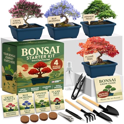 Premium 4 Varieties & 6 Bonsai Tree Starter & 4 Bonsai Tree Starter & Gold Yarrow 1,600 Seeds Kit - view 6