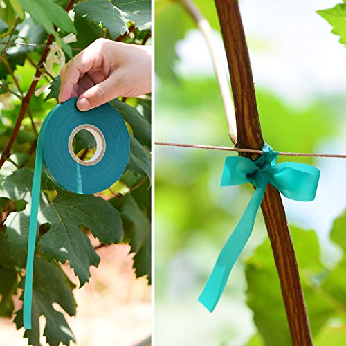 2 Pcs 150 Feet x 1/2" Wide Stretch Tie Tape Green Plant Garden Tie, Garden Vinyl Stake for Branches, Climbing Planters, Flowers - view 6