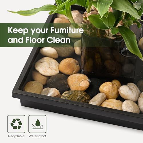 Square Plant Saucer 12 Inch 2 Pack Tray Plastic Pot for Outdoor - view 6