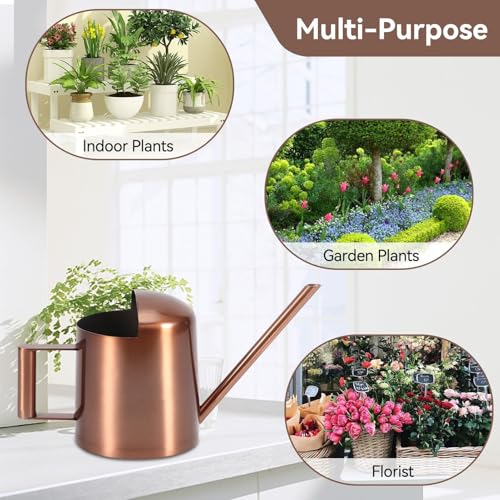 10oz/300ml Watering Can Indoor Plants, Long Spout Small Watering Sprinkling Pot Mini Stainless Steel Water Can Garden Water Pot for Indoor House Plants Bonsai - view 3